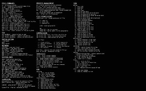 Programmer Code Background, Minimalist Coding HD wallpaper