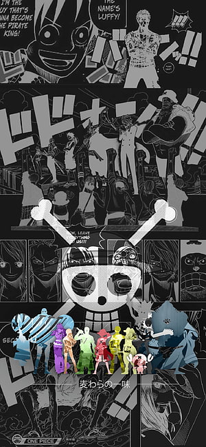 One Piece , King One Piece HD phone wallpaper