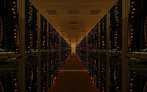 del servidor. Minería de datos, servidor Microsoft SQL, centro de datos fondo de pantalla