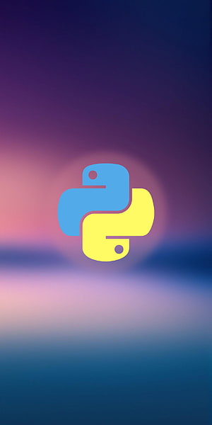 Python Mobile, Python Programmer HD phone wallpaper