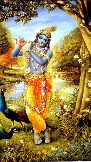 Krishna, Lord Krishna, Shri Krishna, Govind, Murari HD phone wallpaper
