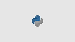 Python Programming Minimalism White Technology - Resolution:, Python Coding HD wallpaper