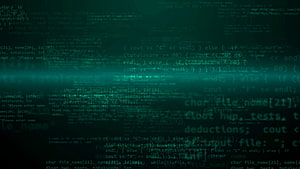 Software Developer, Developers HD wallpaper