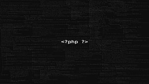 Pengembang . Pengembang , Pengembang HTML dan Pengembang Web, Pemrograman Web Wallpaper HD