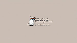 Programming ( Python And Other Coding ), Funny Coding HD wallpaper
