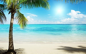 Beach Background, Anime Summer Beach HD wallpaper