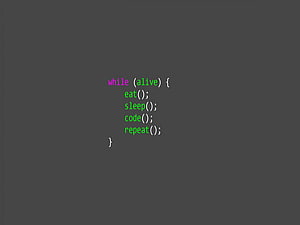 Python, codifica Python Sfondo HD