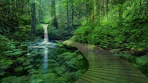 Peaceful HD wallpaper
