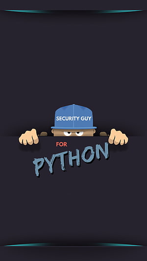Python Programmer 1440P Resolution , Hi Tech , , And Background Den, Python Programming Language HD phone wallpaper