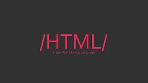 HTML logo, code, web development, development, HTML, Web Developer HD wallpaper