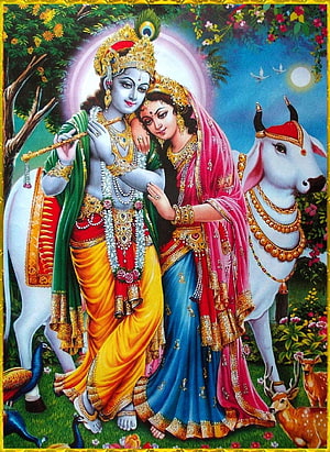 WholesaleSarong Radha Krishna Cows Paper Poster 14 x 20 Office Wall Decor: Posters & Prints, Krishna and Cow HD phone wallpaper