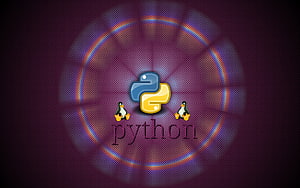 Python, Python Kodlama HD duvar kağıdı