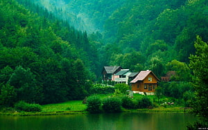 Peaceful Background, Cool Peaceful HD wallpaper