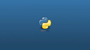 Python - , Yarasa Üzerinde Python Arka Planı, Python Kodlama HD duvar kağıdı