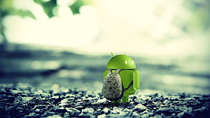 Développeur, Développeur Android Fond d'écran HD