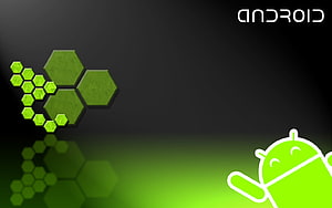 Développeur Android Fond d'écran HD