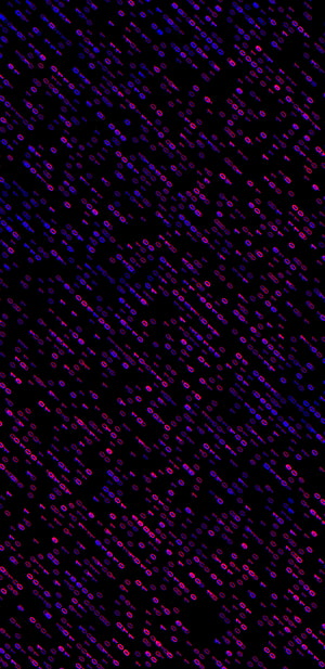 Code, Pattern, Texture, Textures, Glow, Binary Code HD phone wallpaper