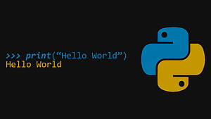 Python, lenguaje de programación, posición, función anónima, lenguaje de programación de alto nivel, , lenguaje de programación Python fondo de pantalla