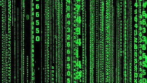 행렬 숫자 레인 코드 cmd. 행렬, 행렬 이진 코드 HD 월페이퍼