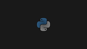 Python , programlama, minimalizm, grey, teknoloji • For You For & Mobile, Python Kodlama HD duvar kağıdı