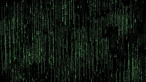 Binärer, digitaler Code HD-Hintergrundbild