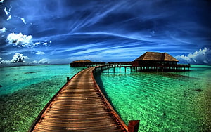Nature Windows, Windows 7 Nature HD wallpaper