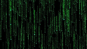Código binario en movimiento, Código binario en vivo fondo de pantalla