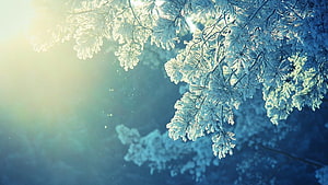 Peaceful background, Anime Peace HD wallpaper